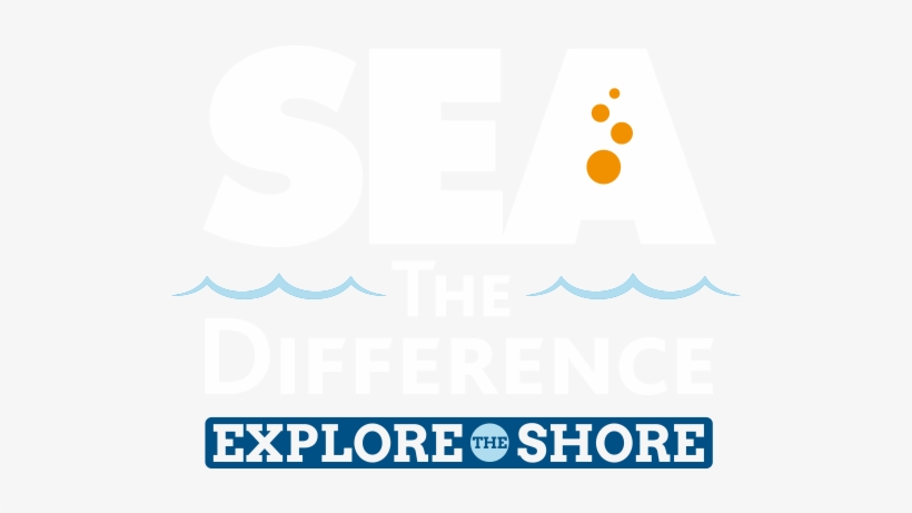 Sea The Difference, transparent png
