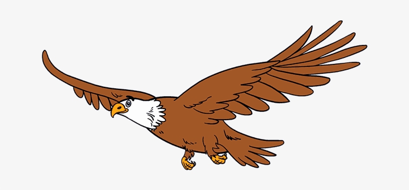 Drawn Bald Eagle Foot - 678x600 PNG Download - PNGkit