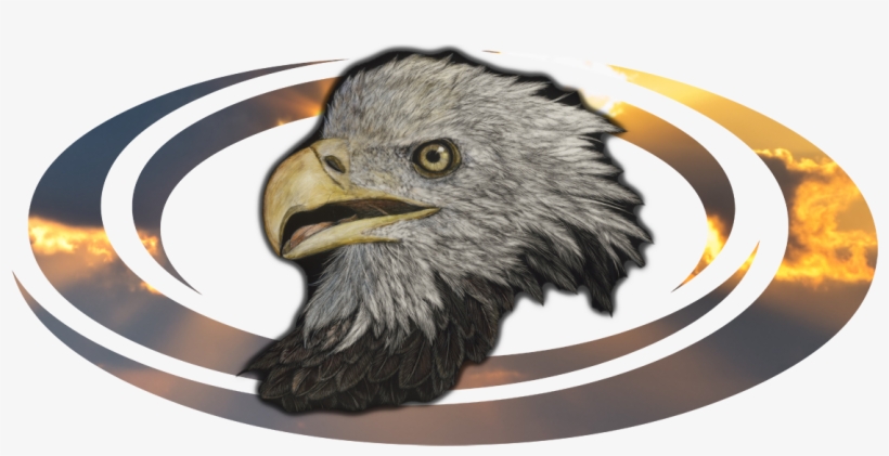 Creativity Has No, transparent png