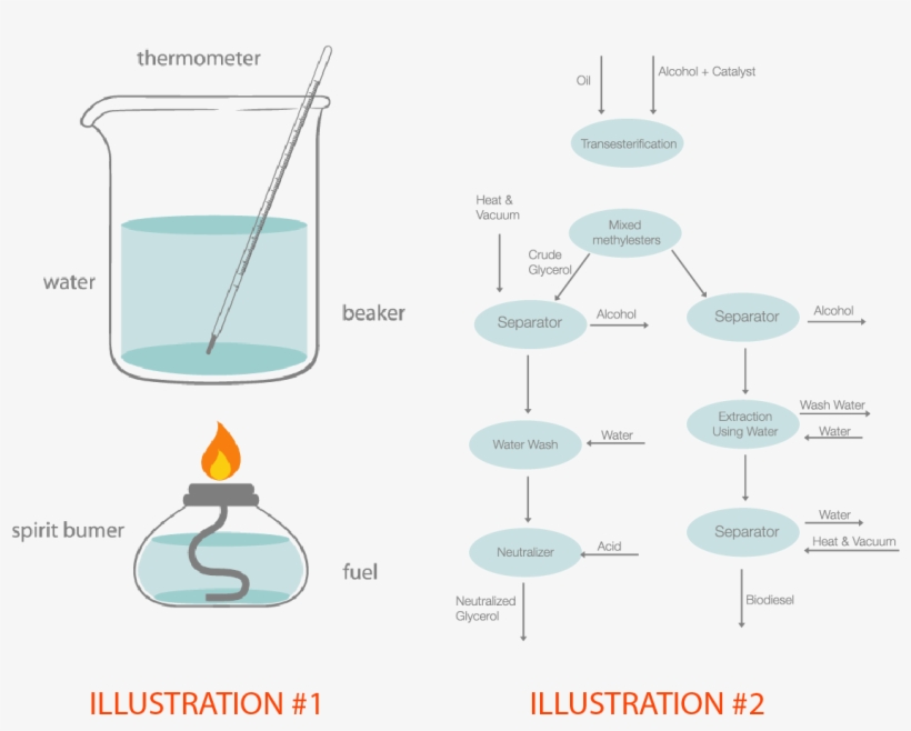 Colorful, Professional, School Vector Design For A, transparent png