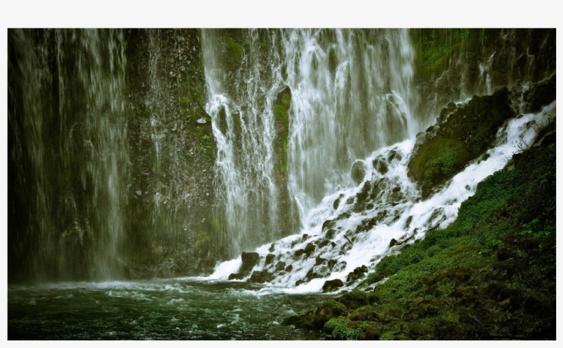 Green Wall Png, transparent png