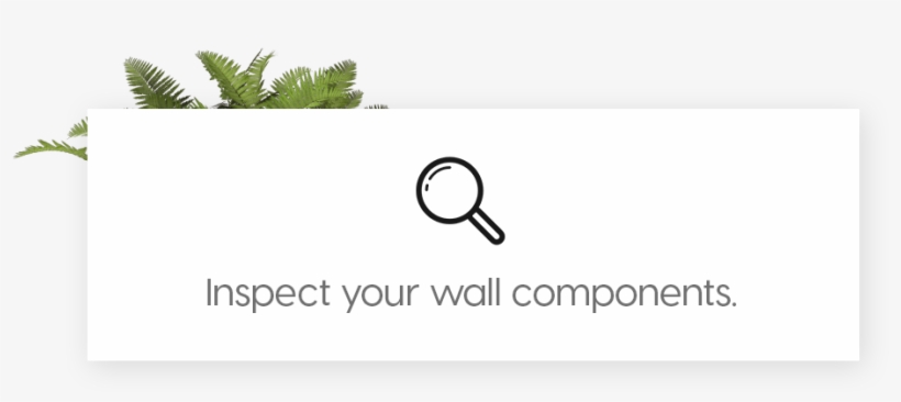 A Green Wall Is Constantly Evolving, And Its Success, transparent png
