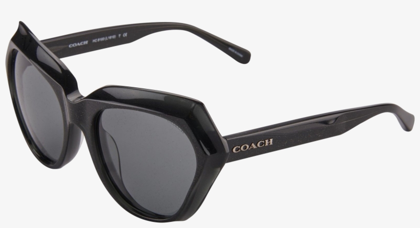Coach Womens Sunglasses Hc8193 542487 Dark Grey Glitter, transparent png