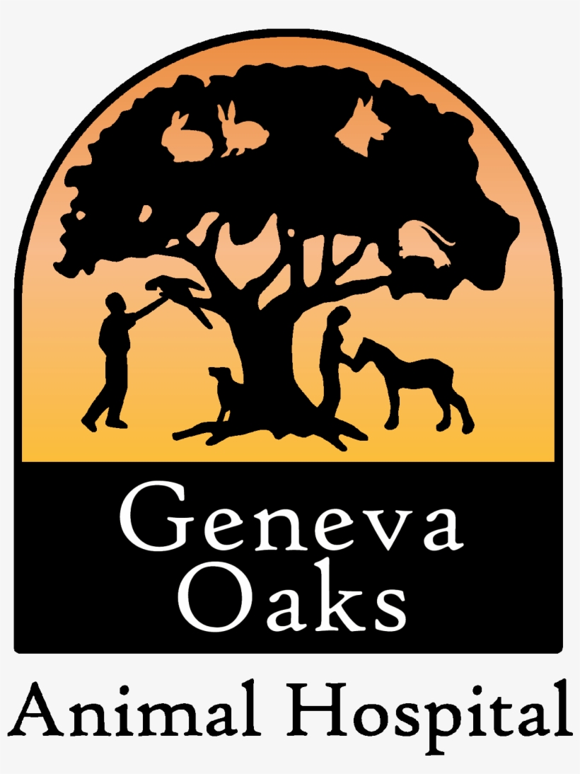 Welcome To Geneva Oaks Animal Hospitalquality Care, transparent png