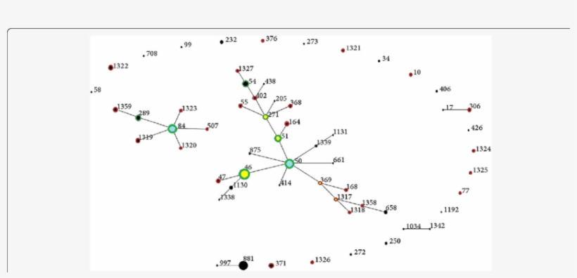 Pseudomallei Sts In Malaysia Showing Sts Added By This, transparent png