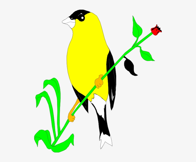 How To Set Use Goldfinch On A Flower Stem Svg Vector, transparent png