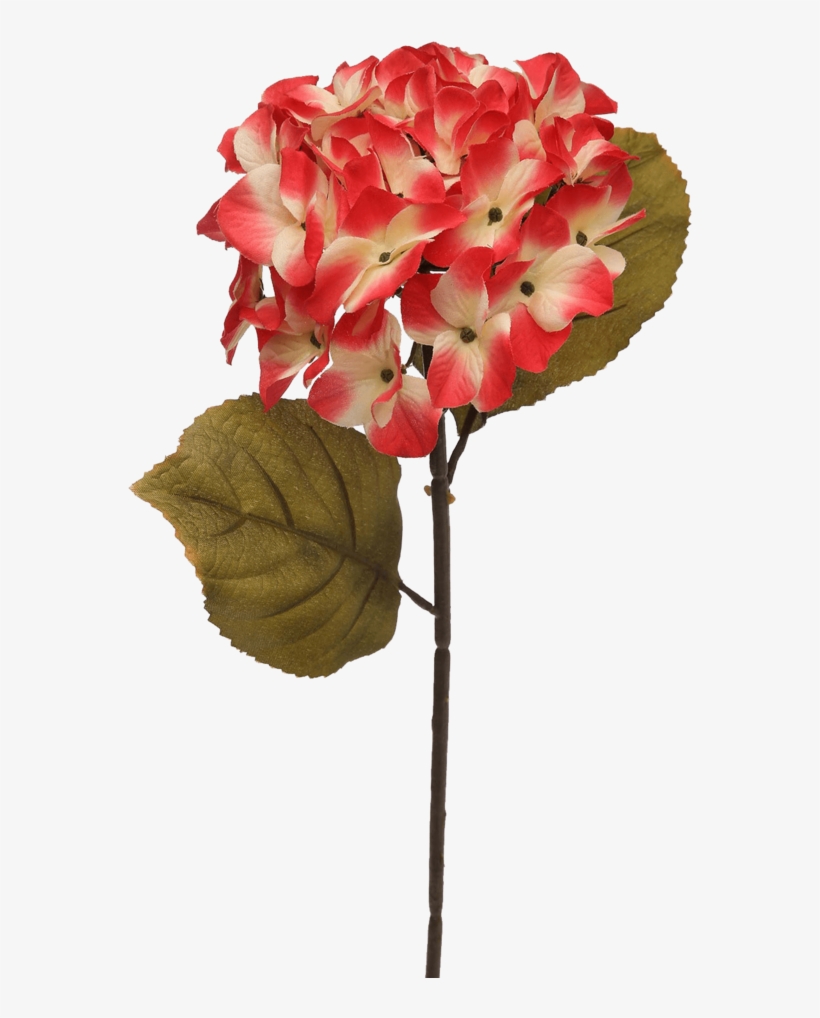 Hydrangea Artificial Flower Stem, transparent png