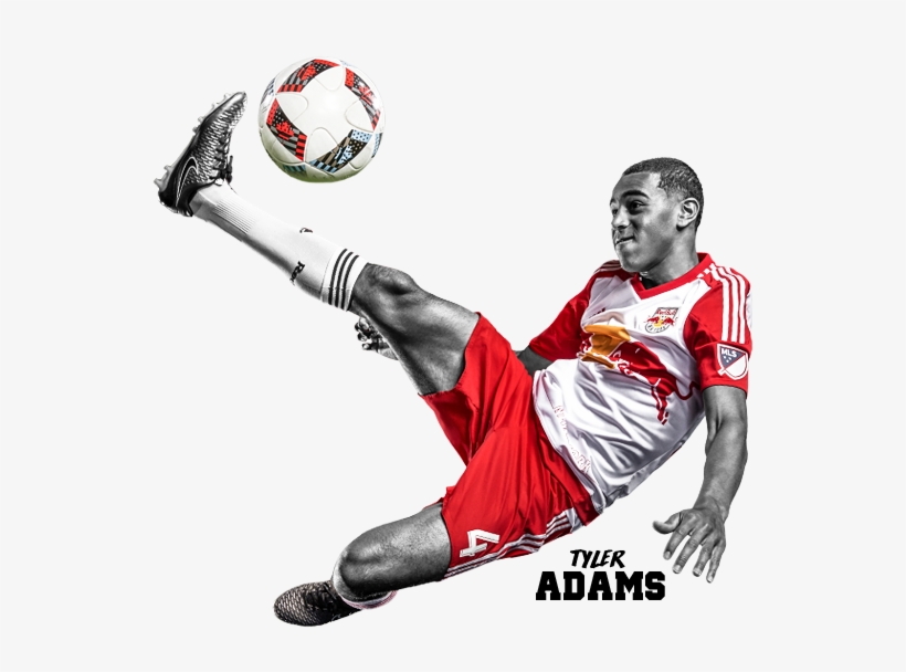 New York Red Bulls Png Pluspn, transparent png