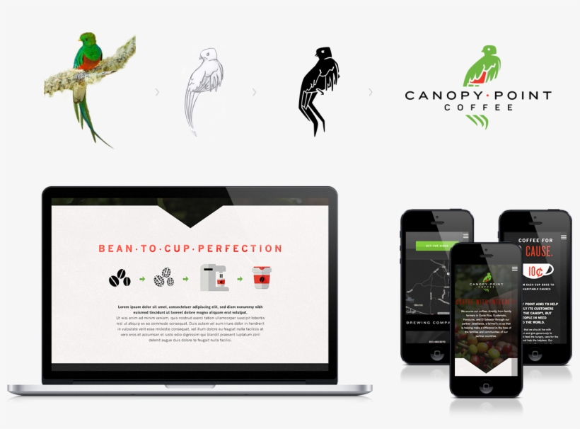 Casestudies Canopy 2, transparent png