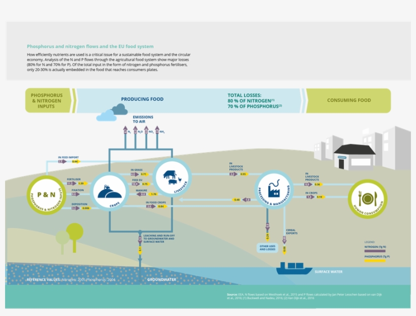Phosphorus And Nitrogen Flows And The Eu Food System, transparent png