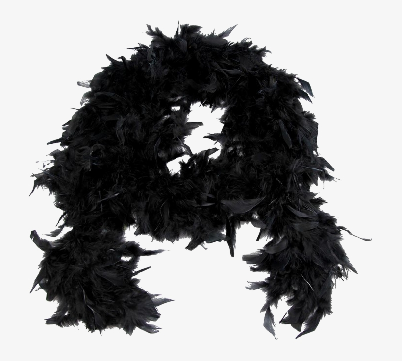 Feather Boa Png Image Background - 750x750 PNG Download - PNGkit