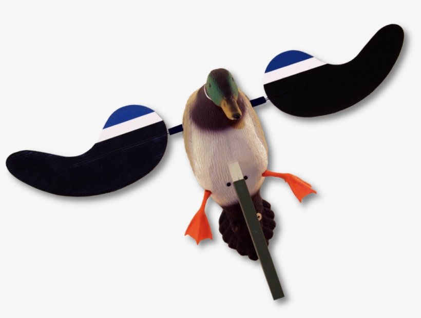 Image Of The Mojo Baby Mallard, transparent png