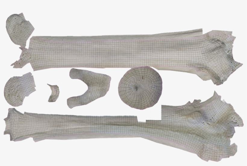 From This Point, A Texture Artist Works With The New, transparent png