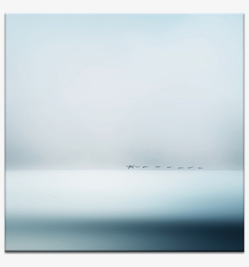 Wild Geese, transparent png