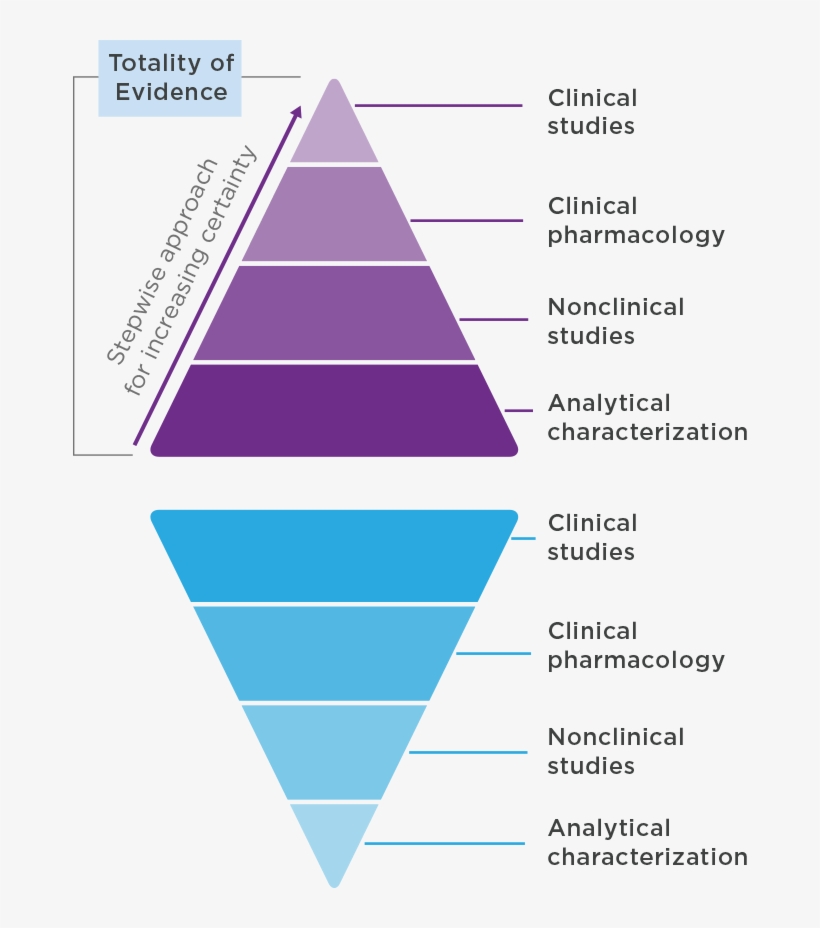 Demonstrate Safety, Purity, And Potency In One Or More, transparent png