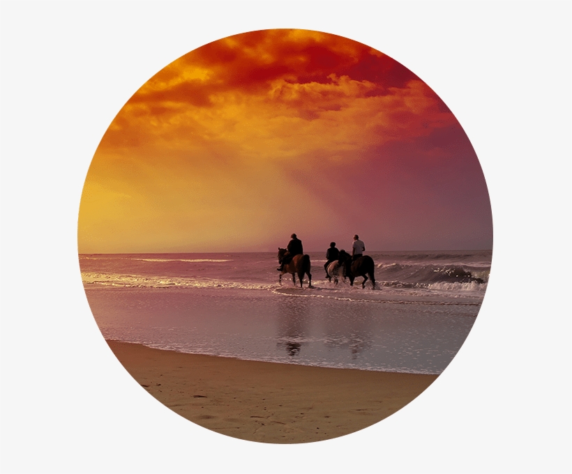 Beaches & Bikes, transparent png