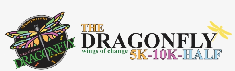 Dragonfly Wings Png, transparent png