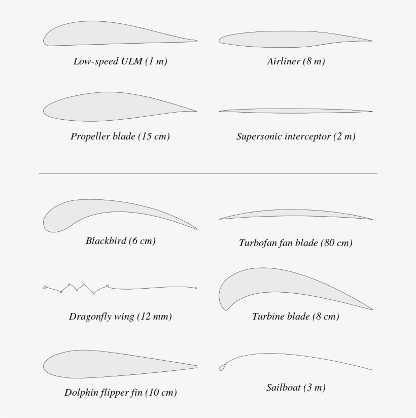 Examples Of Airfoils In Nature And Within Various Vehicles, transparent png