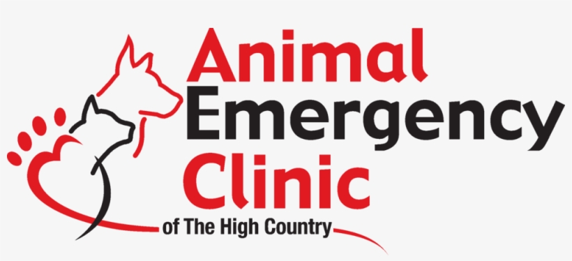 We Offer 24 Hours Emergency Veterinary Services, transparent png