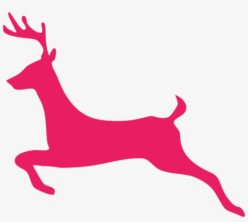 Download Png, transparent png