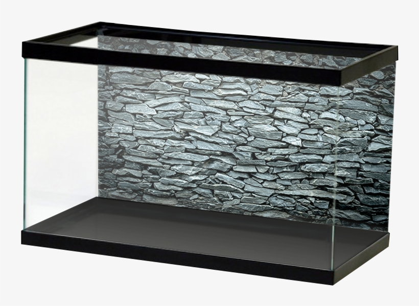 Aquariumvinyl, transparent png