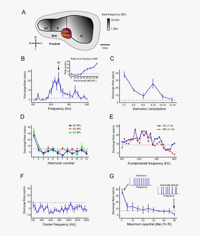 Criteria For Pitch Selective Neurons, transparent png
