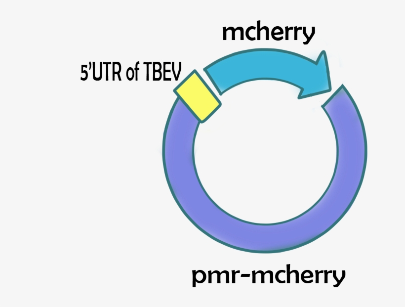 Packages Targeting Neuron, transparent png