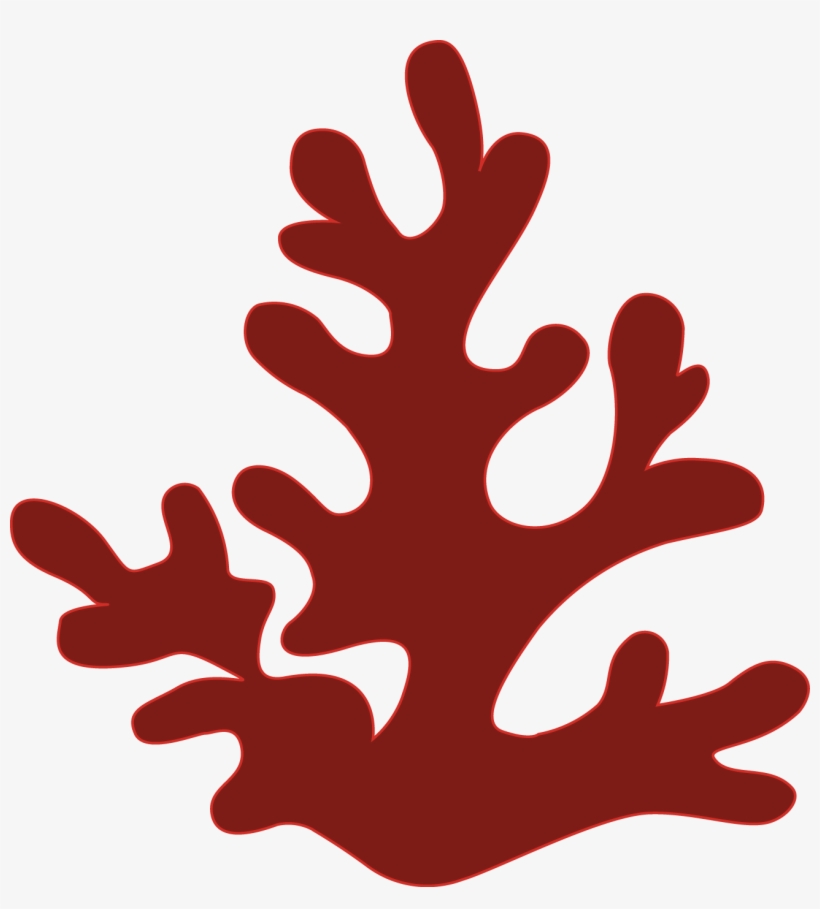 The Structure Of The Reefs Comes From Coral Species, transparent png