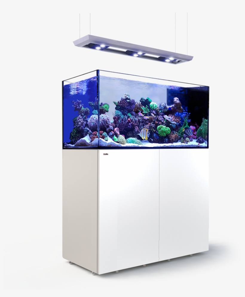Picture Of Red Sea Reefer Peninsula P500 Deluxe White, transparent png