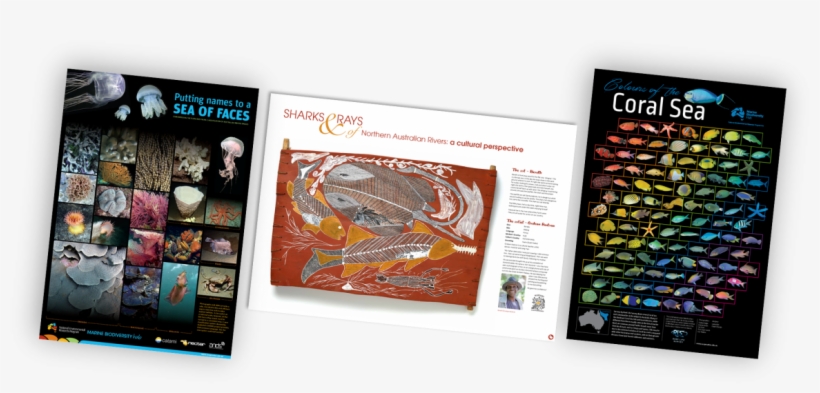 Posters Of The Nesp Marine Biodiversity Hub, transparent png