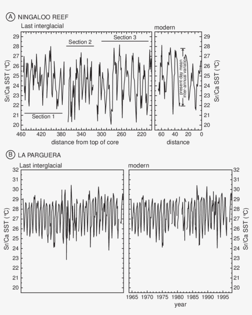 14 Coral Sr/ca Derived Sea Surface Palaeotemperatures, transparent png