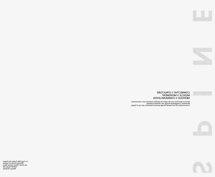 The Space Is Thus Likened To Both The Spine And Ribs, transparent png