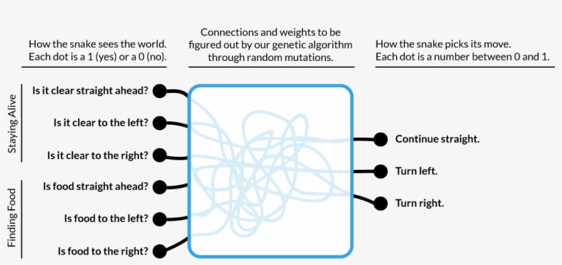 Our Structure For The Input And Output “layers” Of, transparent png