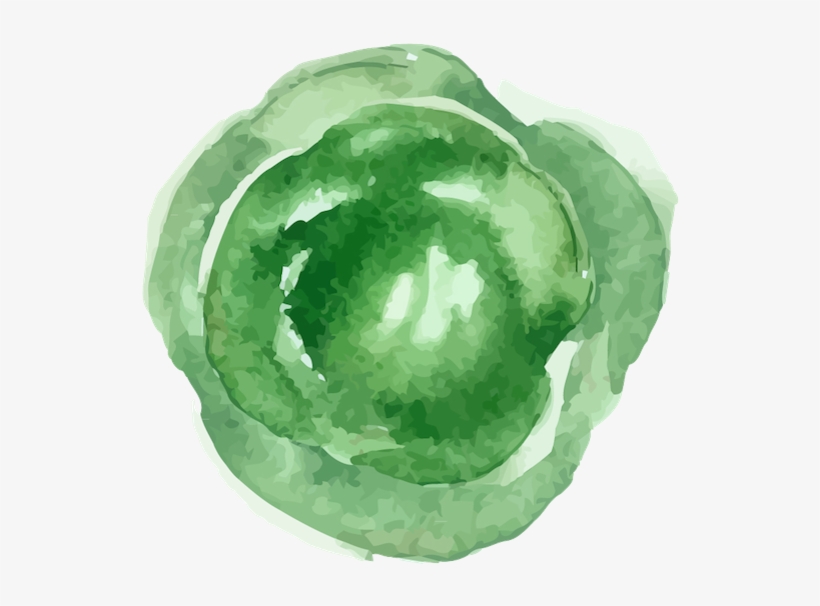 Brunswick Cabbage - Save Room For Pie By Roy Blount, transparent png