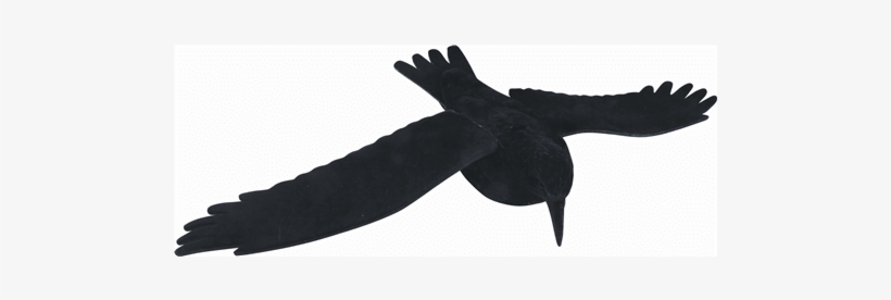 Jack Pyke Of England Flying Crow Decoy Flocked Full - England, transparent png