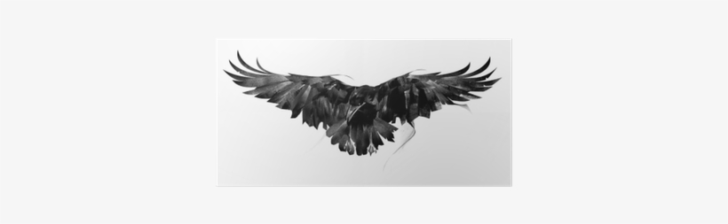 Drawn Flying Crow On White Background Front Poster - Vrána Kresba, transparent png