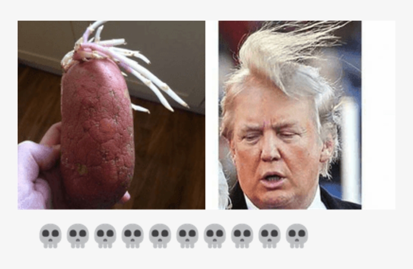 Funny Donald Trump Memes - Donald Trump Old Hair, transparent png