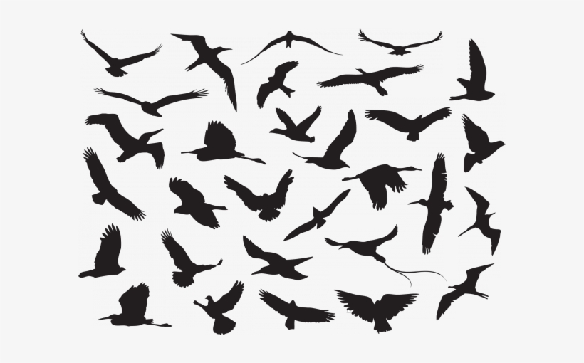 Pin By Alexey Kiselev On Pinterest Patterns - Myonline Shop Jr - 13 Stamping Plate, transparent png