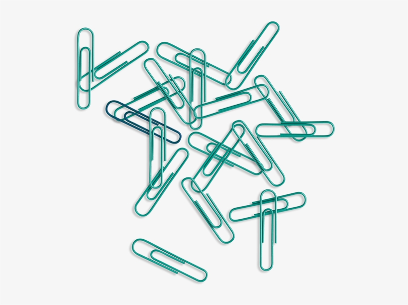 Your Complete Tax Services Partner - Colorfulness, transparent png