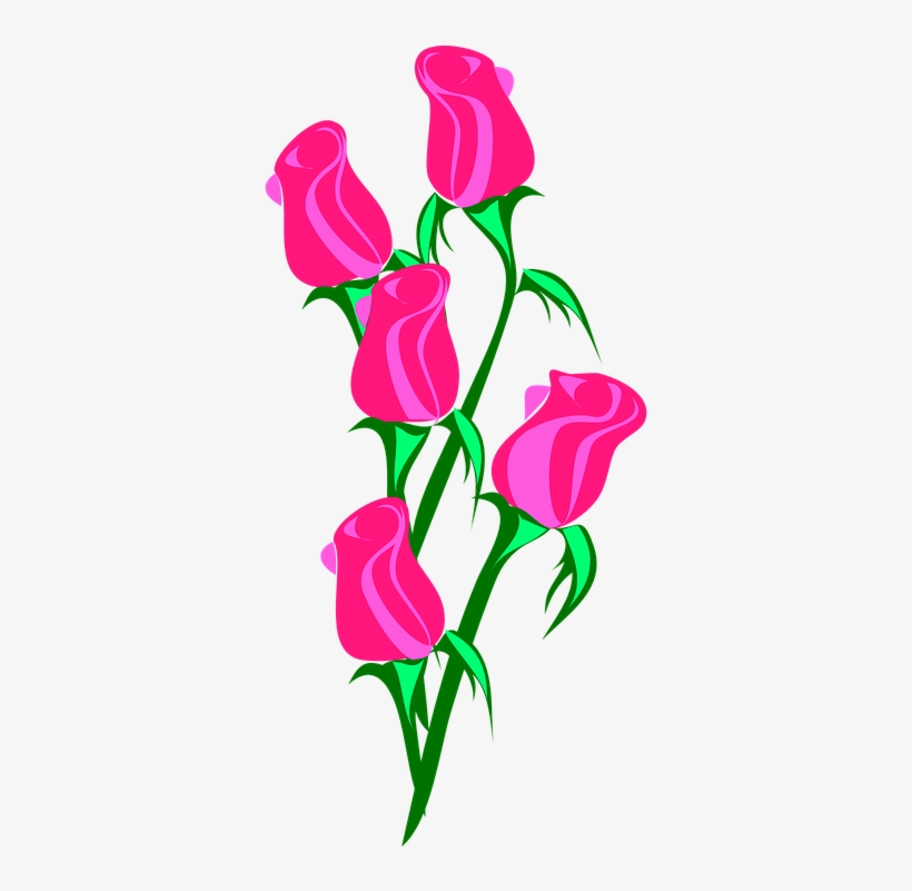 Rose-307040 960 - Roses Clip Art, transparent png