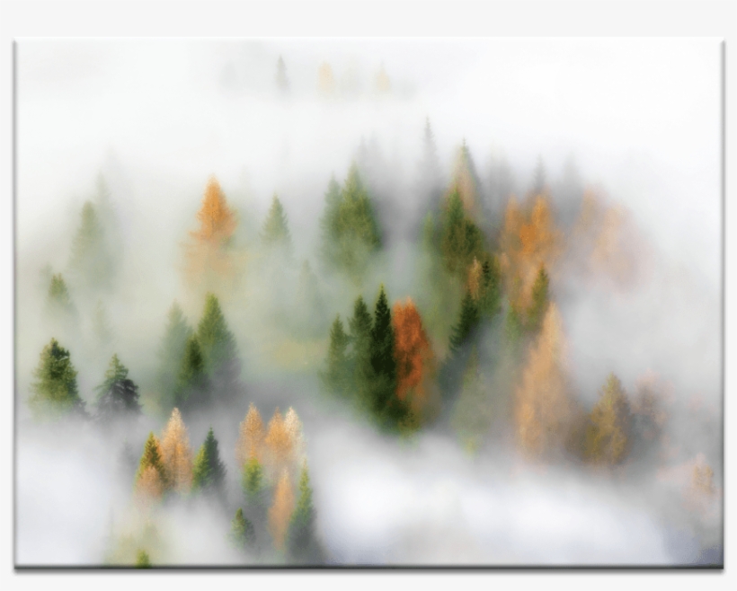 Autumn Cloud - My Art Outlet 'autumn Dream' Graphic Art Print On Wrapped, transparent png