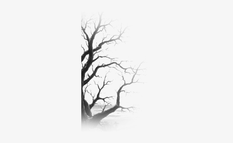 Dsgn 880 Tree1 Dsgn 880 Tree2 Leopard And Lace Bobbins - Greeting Cards (pk Of 20), transparent png
