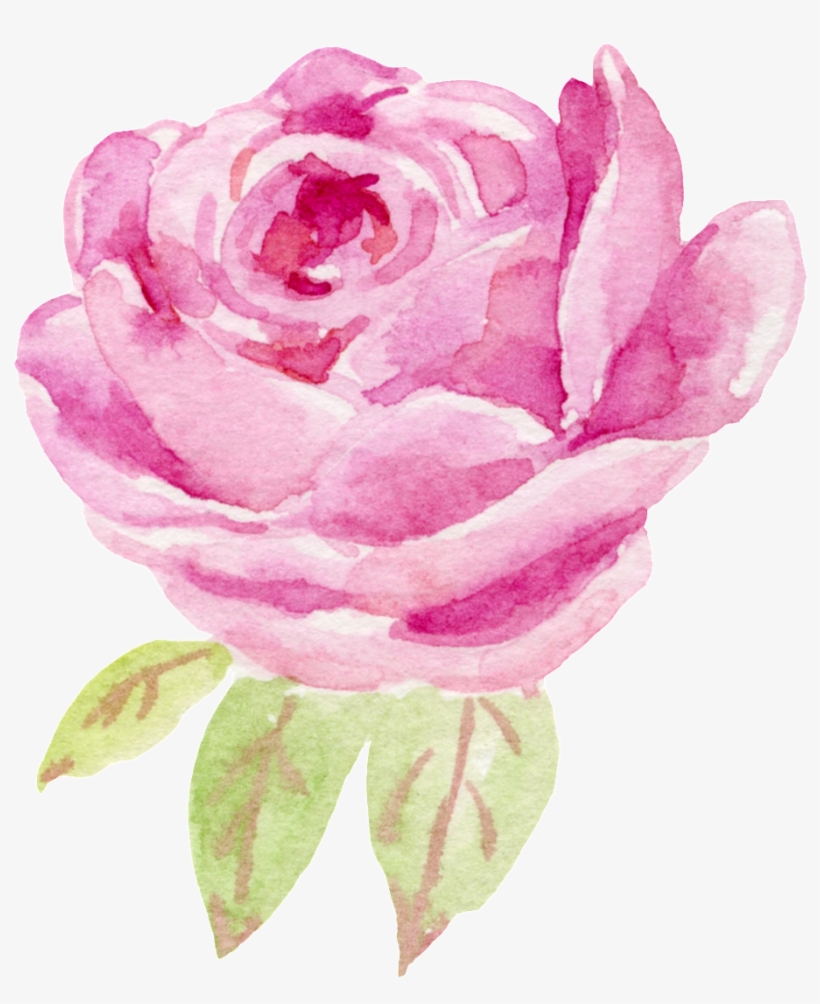 Water Color Flower Rose, transparent png