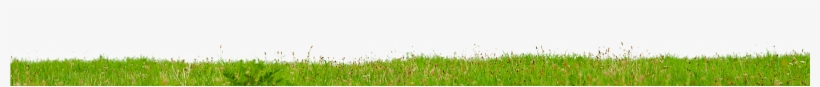 Contact - Grass, transparent png