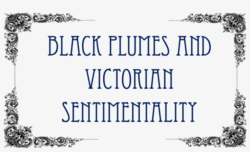 Amy And Jan, transparent png