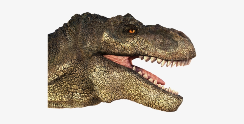 T Rex Transparent Images - T Rex Head Png, transparent png