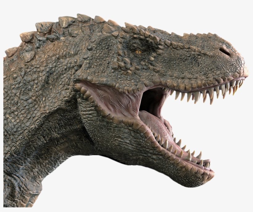 Dinosaur Tyrannosaurus Tyrannosaur T Rex Head Side 429x340 PNG Dinosaur Tyrannosaurus Tyrannosaur T Rex Head Side 429x340 PNG