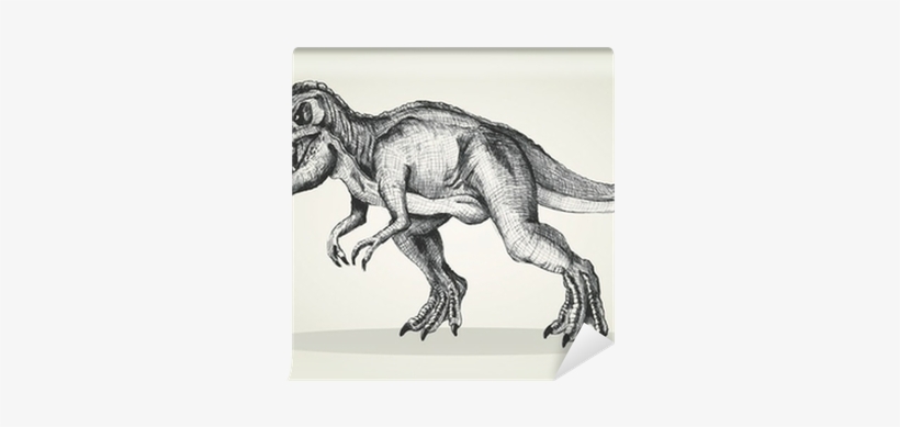 Sketch Illustration Of A Tyrannosaurus Rex Wall Mural - Tyrannosaurus, transparent png