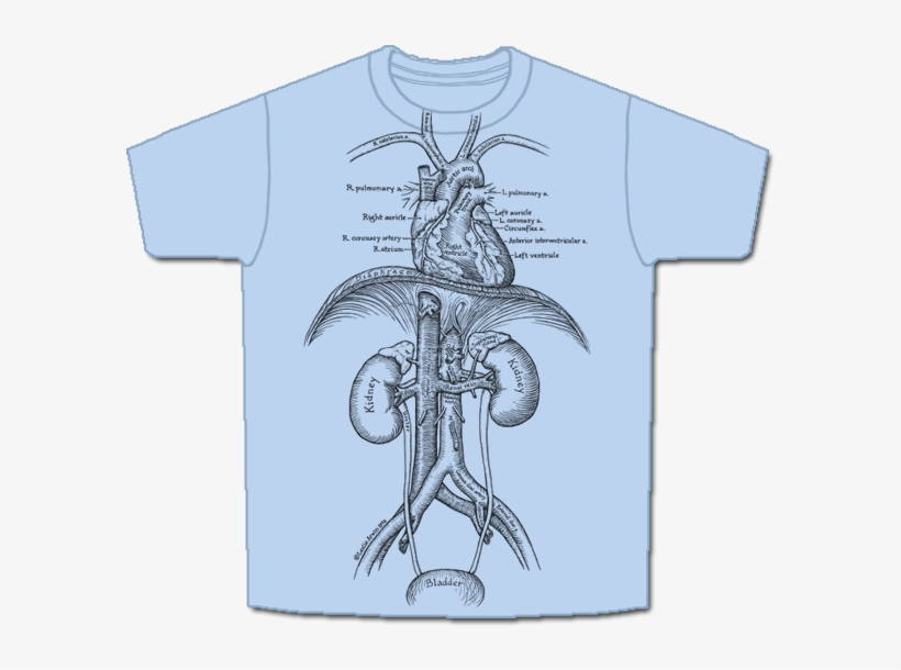 Cardio-short, transparent png