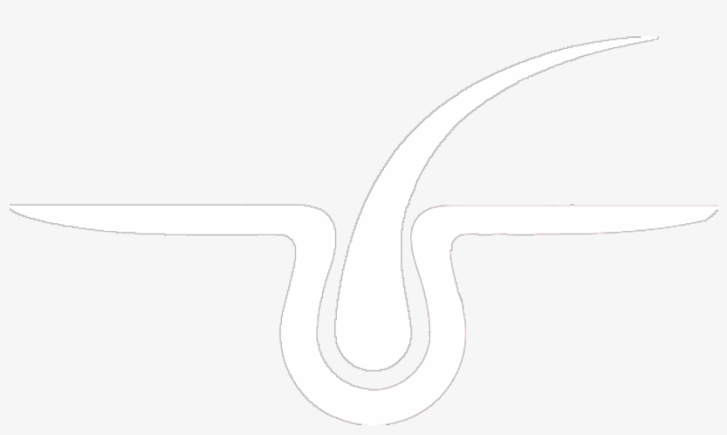 Calligraphy, transparent png